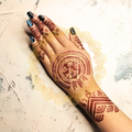 Mehendi Stencil MLS-09