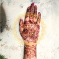 Mehendi Stencil MLS-08